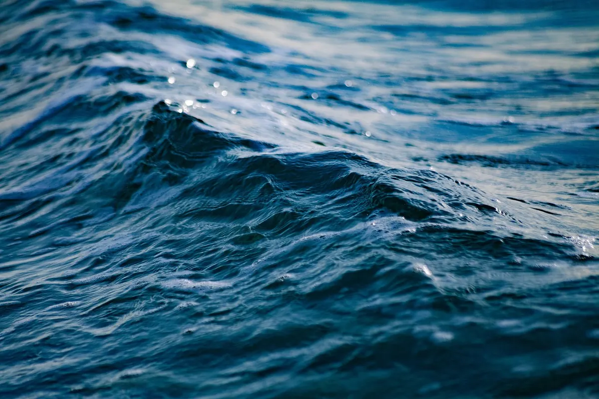 How to Mix Saltwater for a Marine Tank: Step-by-Step Guide