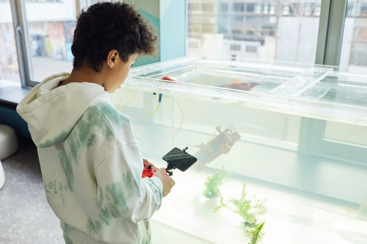 How to Set Up a Quarantine Tank for Marine Fish: A UK Checklist